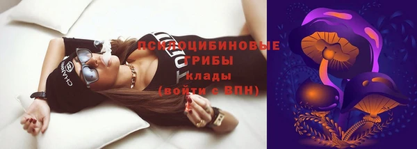 PSILOCYBIN Абдулино