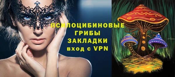 PSILOCYBIN Абдулино