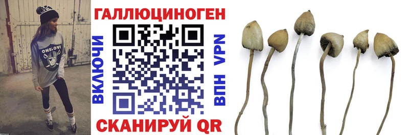 купить   Почеп  Галлюциногенные грибы прущие грибы 